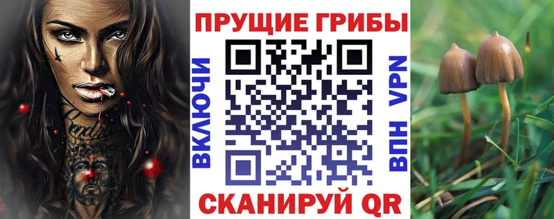даркнет Telegram  Бокситогорск  Псилоцибиновые грибы мицелий 